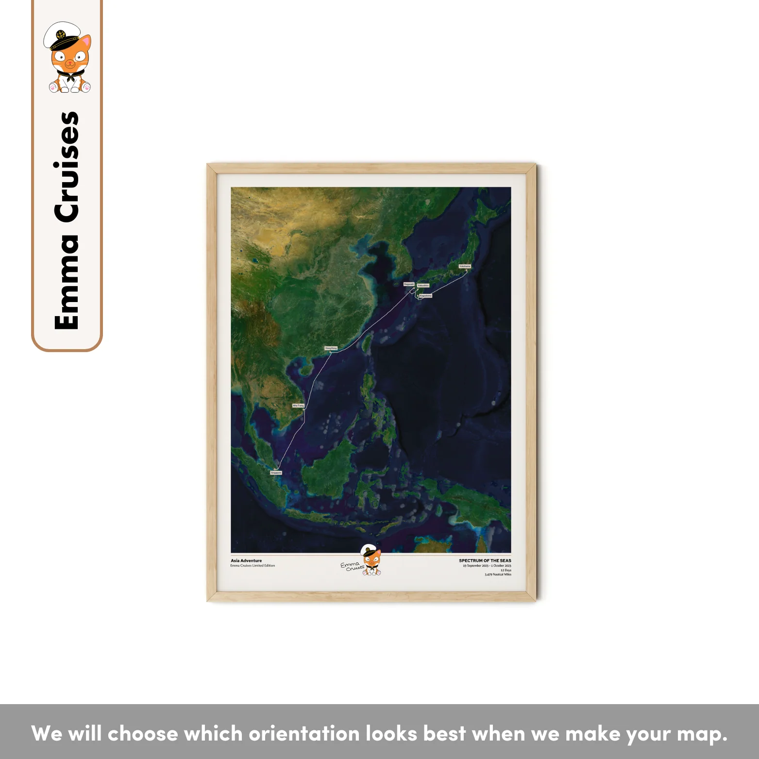Emma Cruises Custom Cruise Map (Limited Edition) - Satellite - Image 29